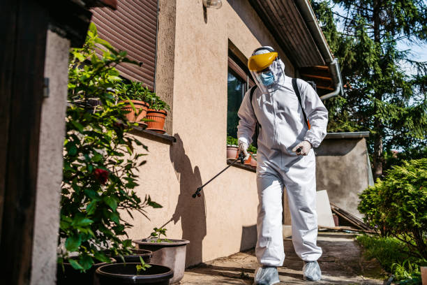 Best Best Pest Control Companies  in Beaver Dam, AZ