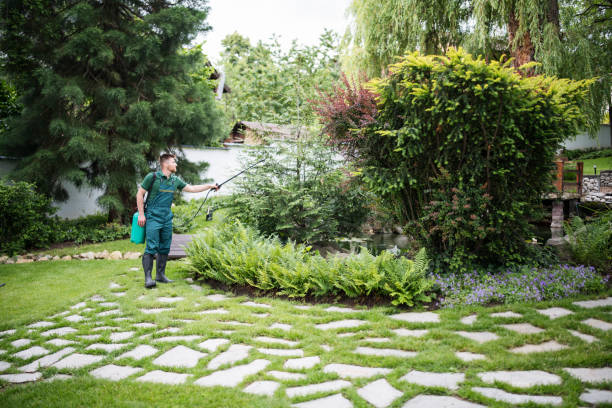 Best Wasp Removal Services  in Beaver Dam, AZ