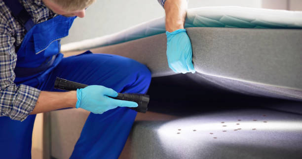 Best Pest Control Near Me in Beaver Dam, AZ